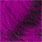 fuchsia black