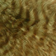 olive/barred brown