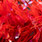 09 red