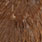 mottled grey dyed march brown