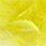13 primerose