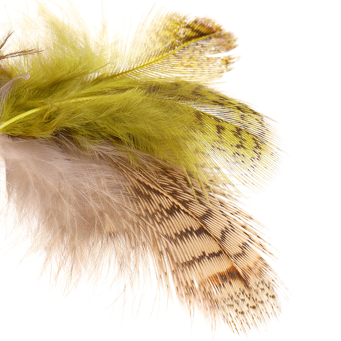 Soldarini Partridge Select Rebhuhn Federn