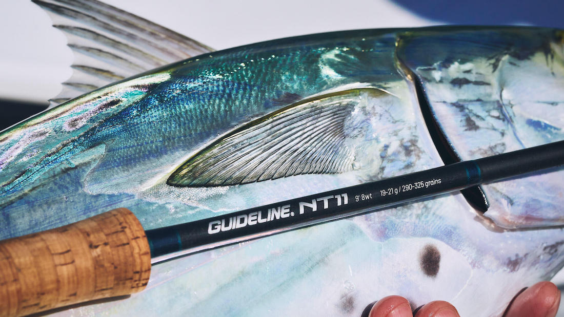 Guideline_NT11_Saline_Field_Fish