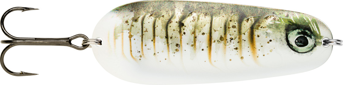Stickleback