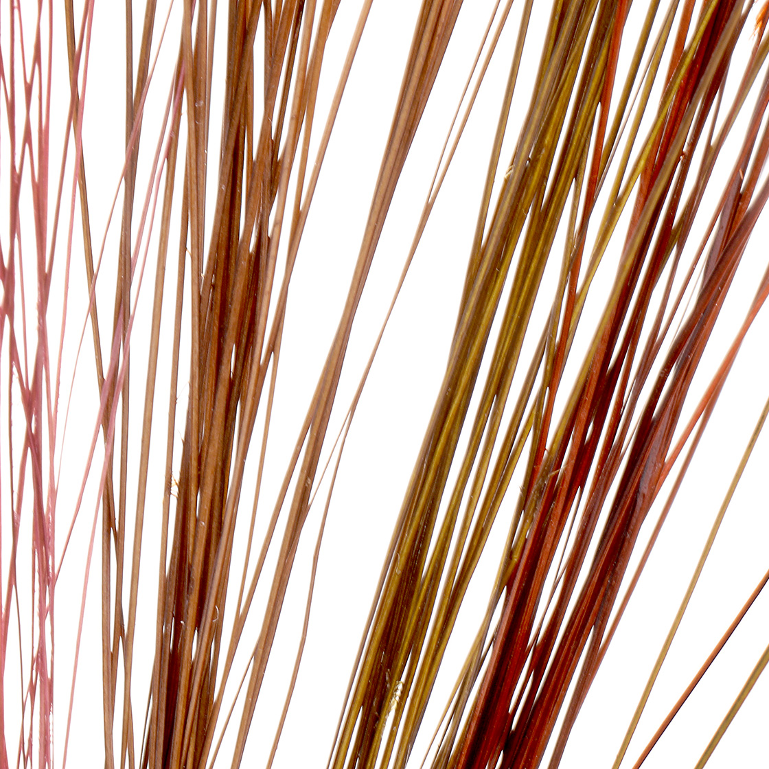 P-28258_Fulling-Mill-Stripped-Quills_detail