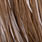dark brown dun
