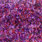 holo purple/red
