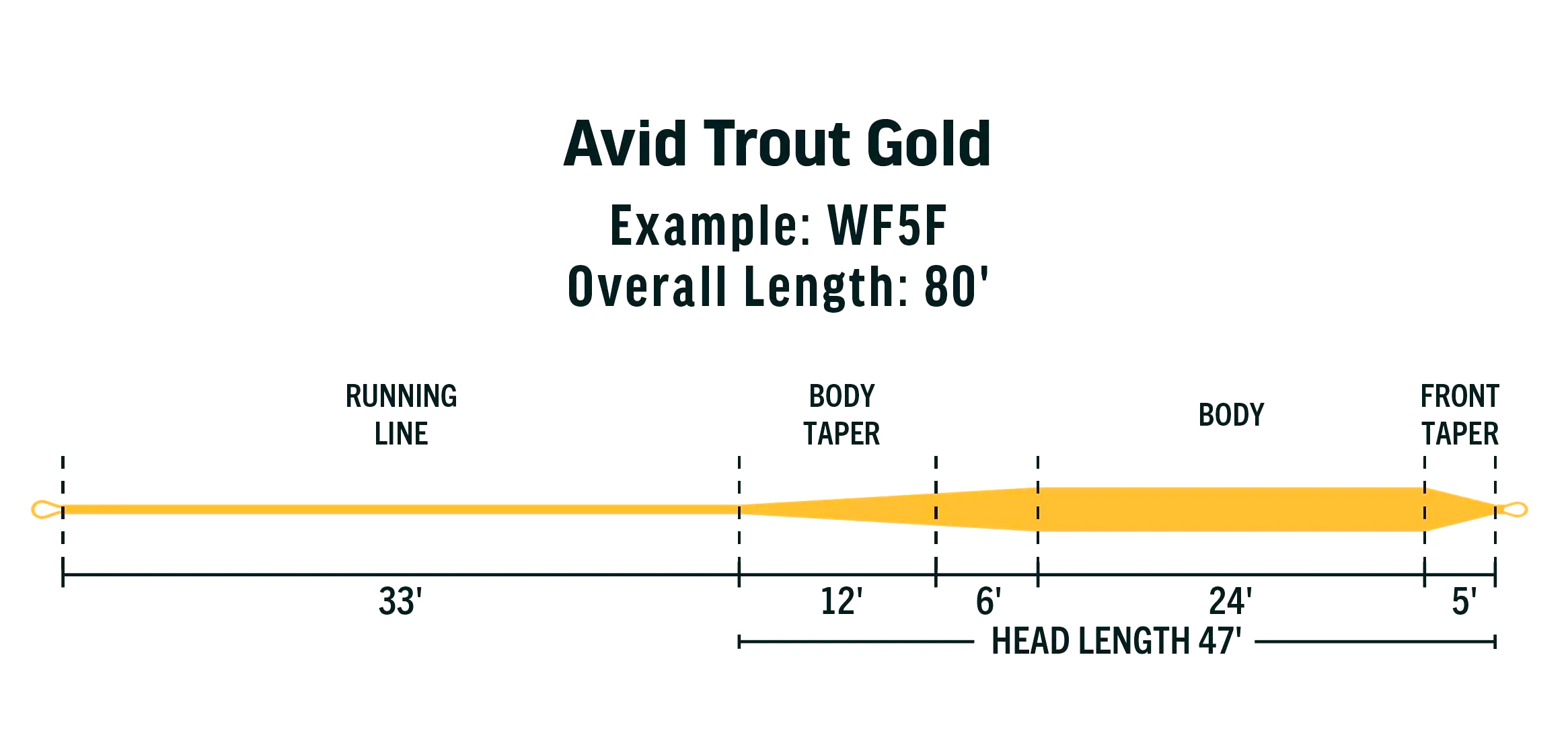 P-24105_Rio_Avid_Gold_Fliegenschnur_3