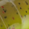 C-05