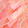 salmon egg