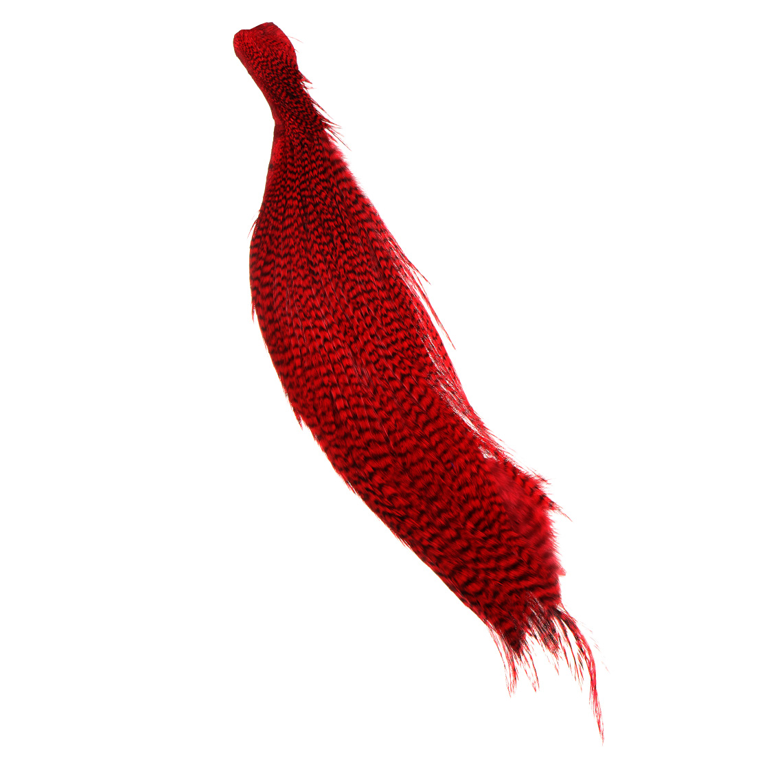 grizzly - red