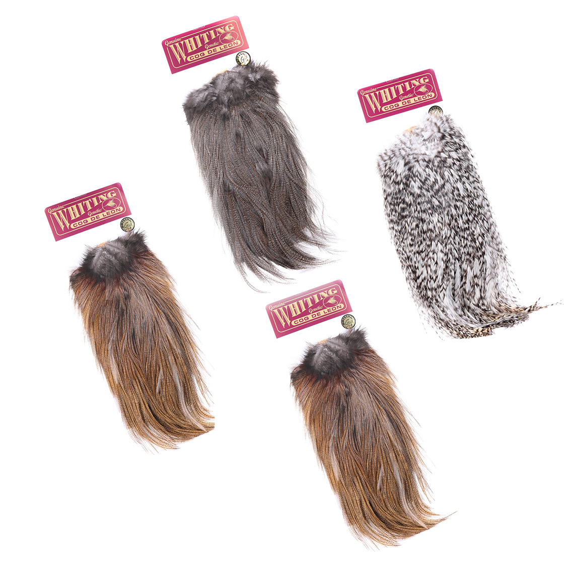 Whiting Coq De Leon Gold Grade Saddle Grizzly