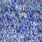 holo silver/blue