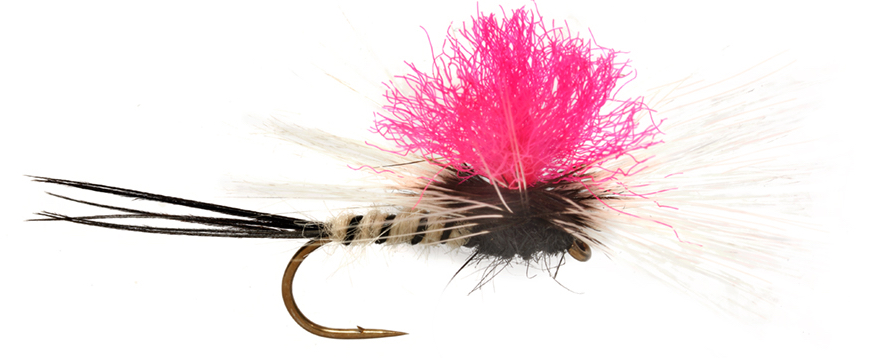 Fulling Mill Trockenfliege - Jackie's Spent Pink Para May Maifliege