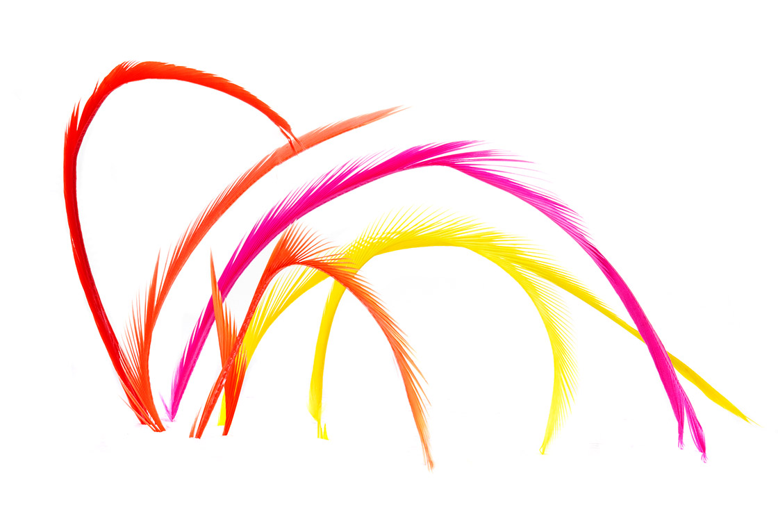 fluo 