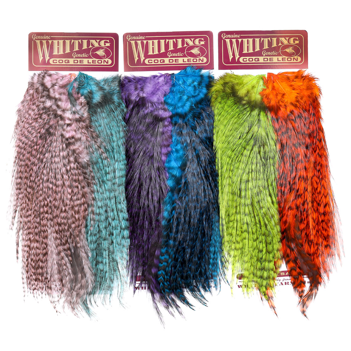 P-25389_Whiting-CDL-Predator-Pack_titel