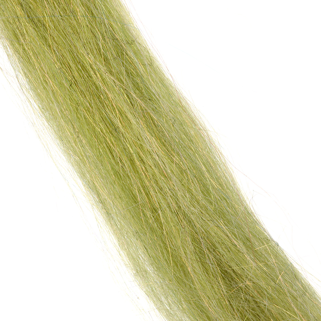 wild olive