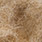 06 pale brown