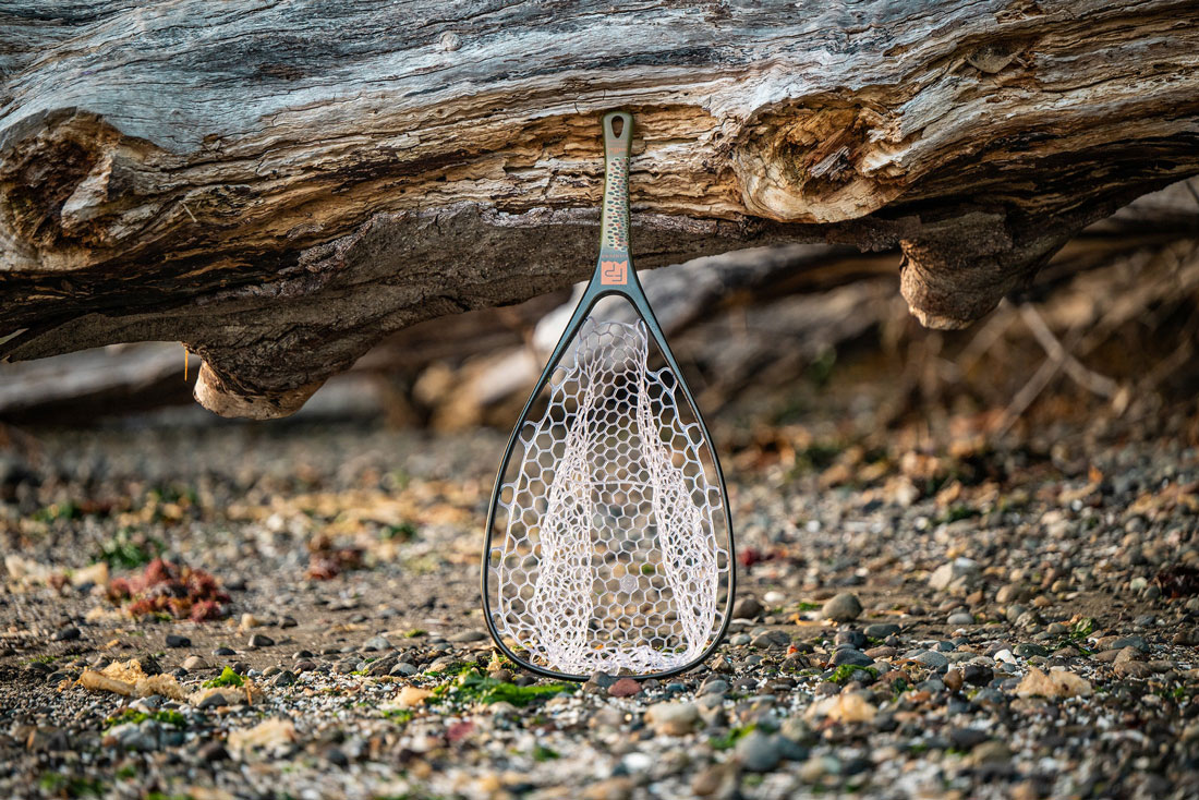 andere Farbe (brown trout)