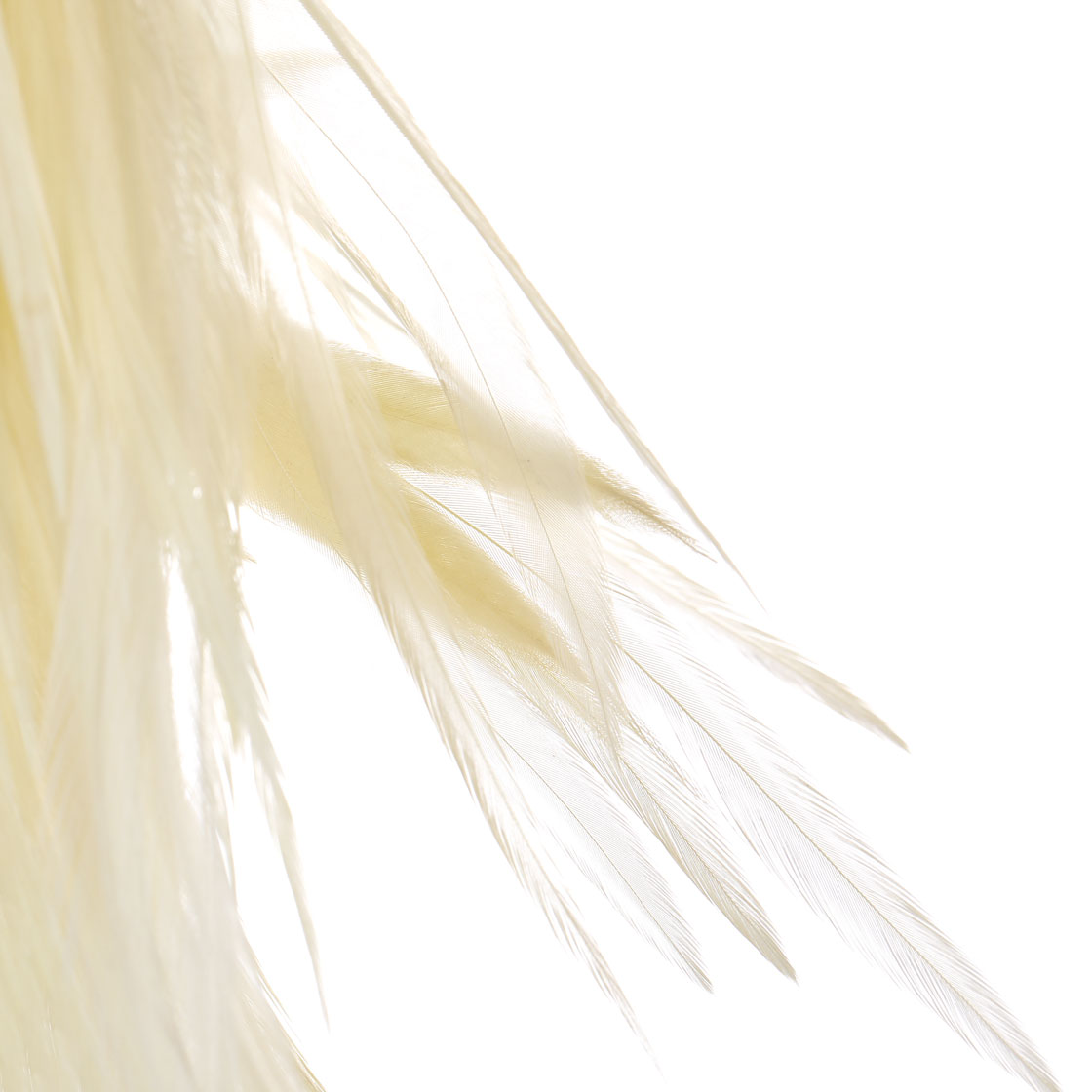 P-21431_Hareline-Flat-Wing-Saddles-UV2_detail-1