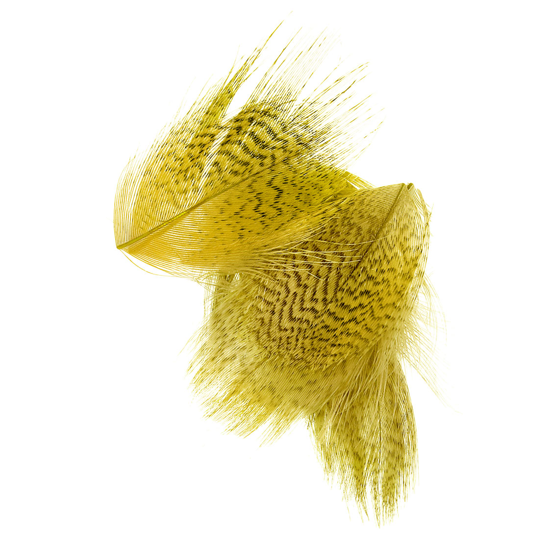 P-17430-2_soldarini_mallard_breast_federn_summer-duck summer duck