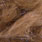 dark camel