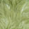 white dyed olive
