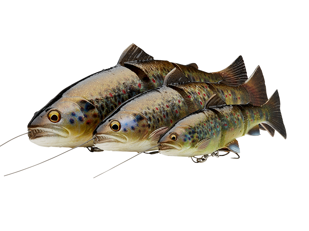 Savage Gear 4D Line Thru Trout Rainbow slow sinking