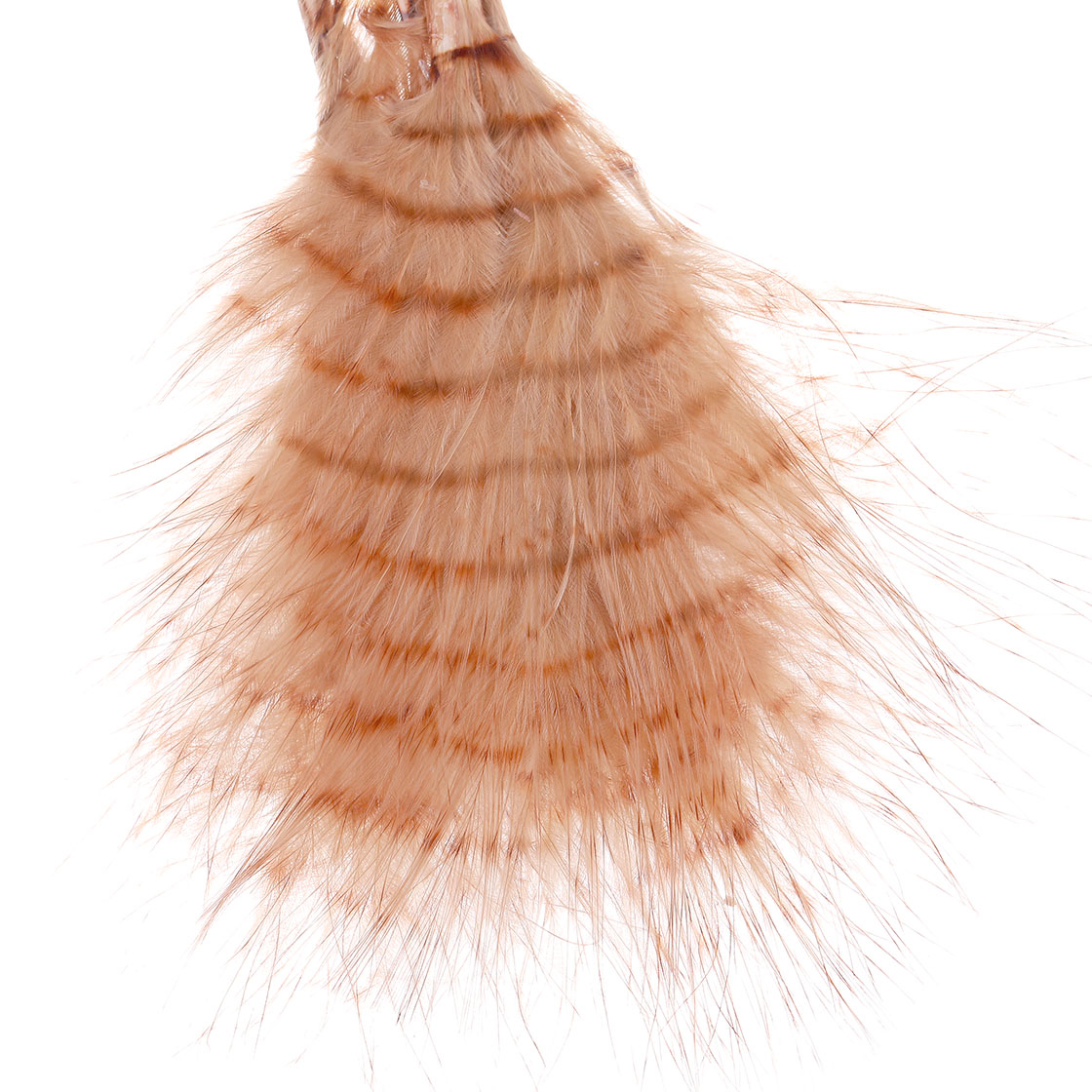 tan/barred brown