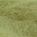 24 olive