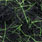black/uv chartreuse yellow
