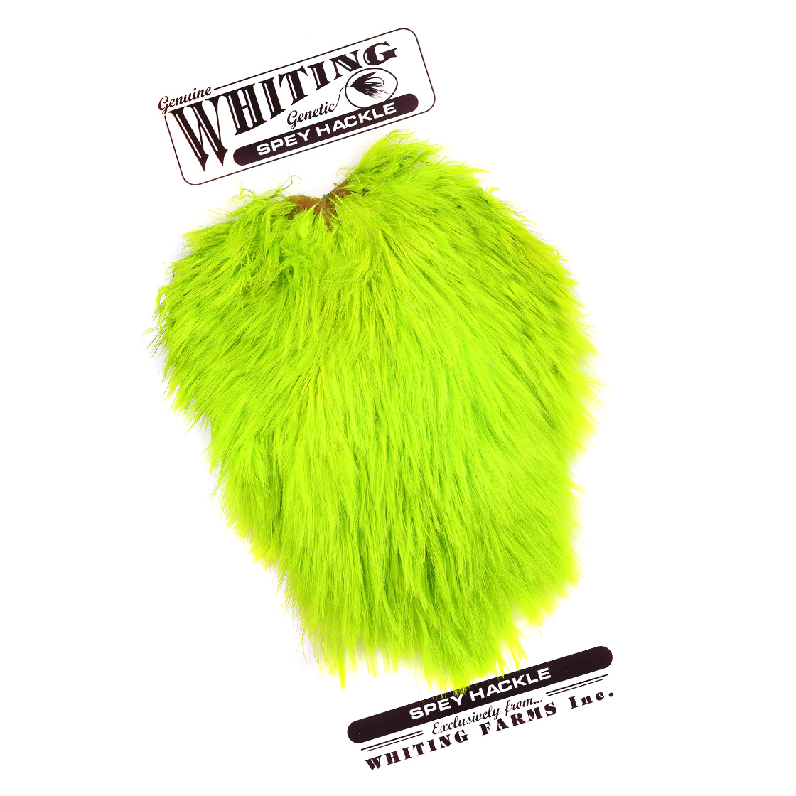 white dyed fluo green chartreuse