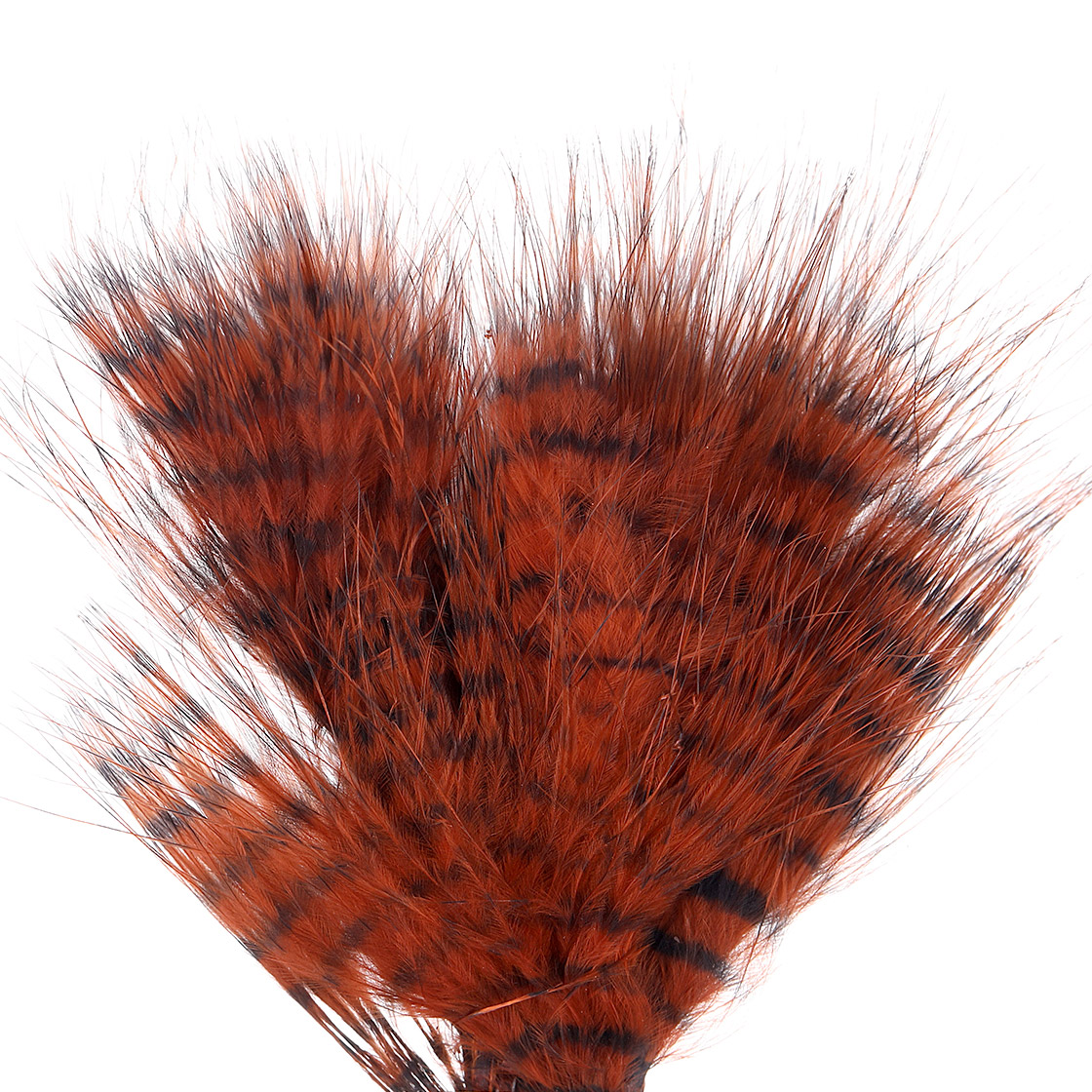 P-27104_MFC_Barred_Buggerbou_Grizzly_Wooly_Bugger_Marabou_Federn_orange-black burnt orange/barred black