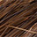 bronze back