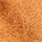 ginger