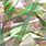 20 green