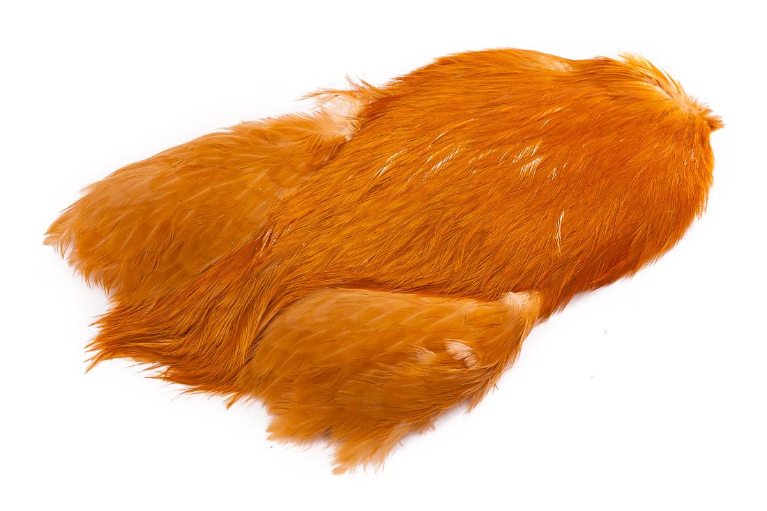 medium ginger