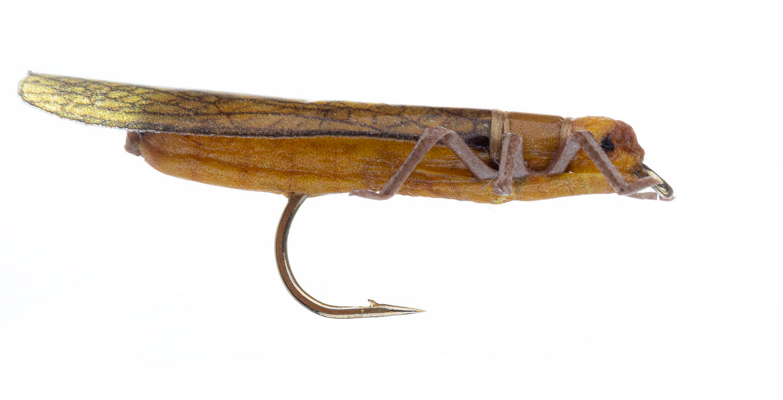 P-15619_Vania-Realistic-Golden-Dryfly