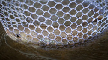 Schnelles und schonendes Landen im Netz! Schnelles und schonendes Landen im Netz!