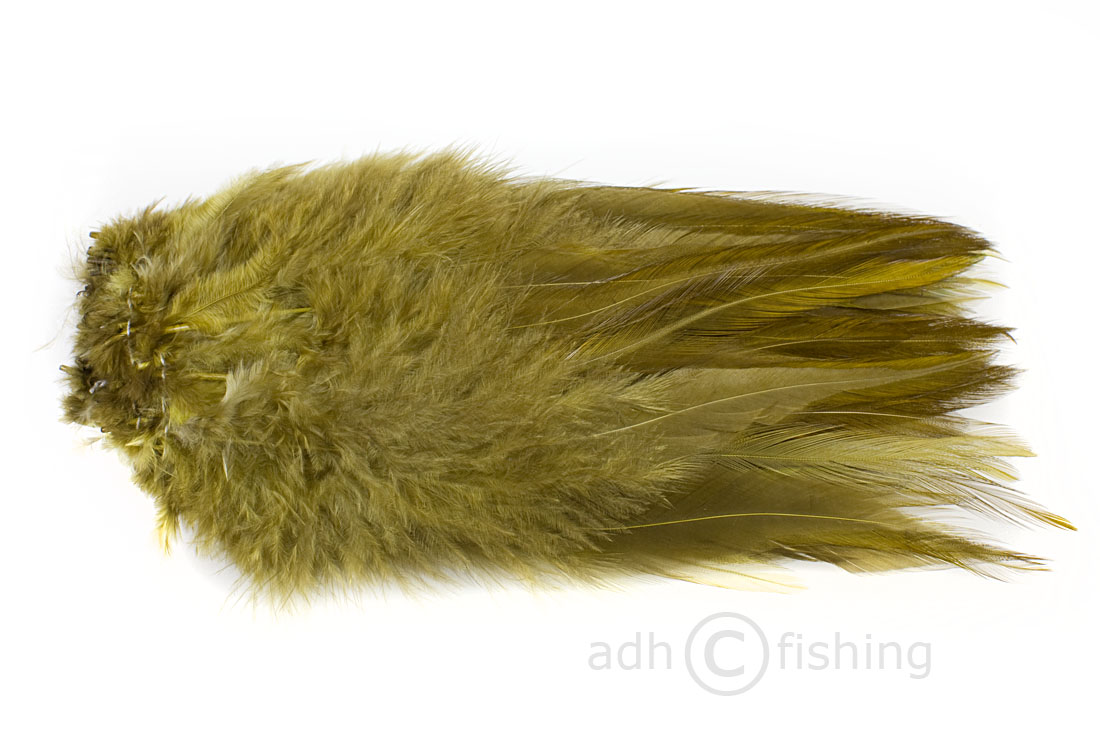 sculpin olive
