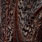 dark pardo