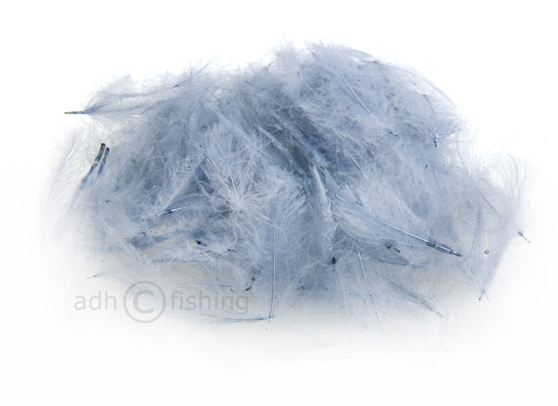SwissCDC_CDCFeathersStandard100_11_Carlina 11 carlina