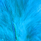 salmon blue