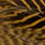woodduck gold