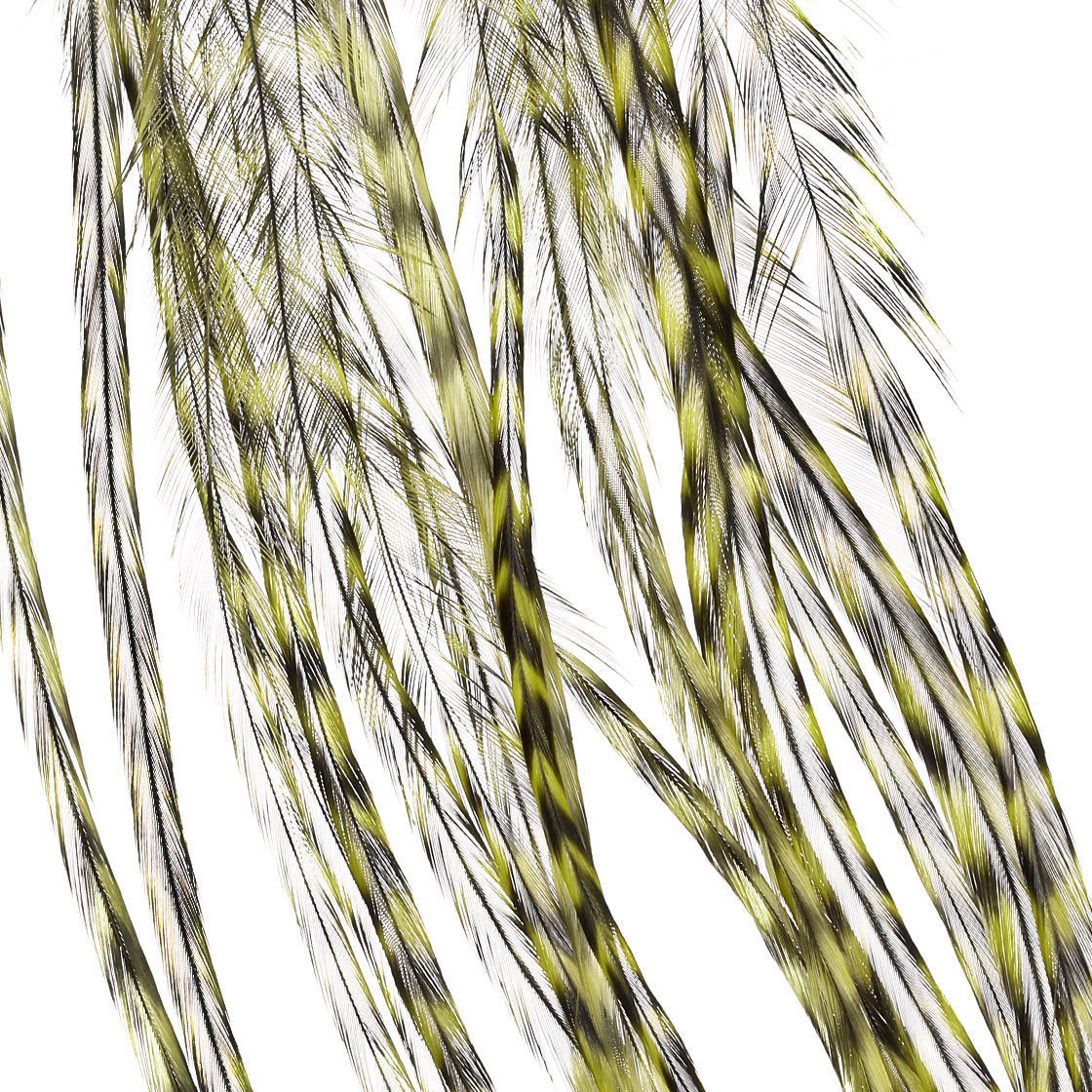 grizzly dyed pale yellow