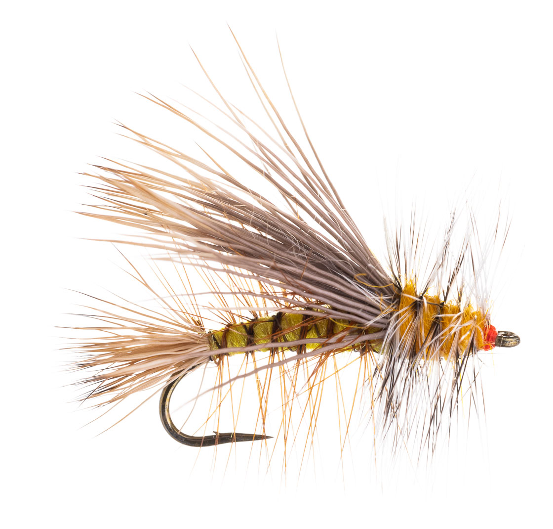 14157_-Umpqua-Trockenfliege-Stimulator-Kaufmann Bindebeispiel