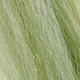 baitfish olive