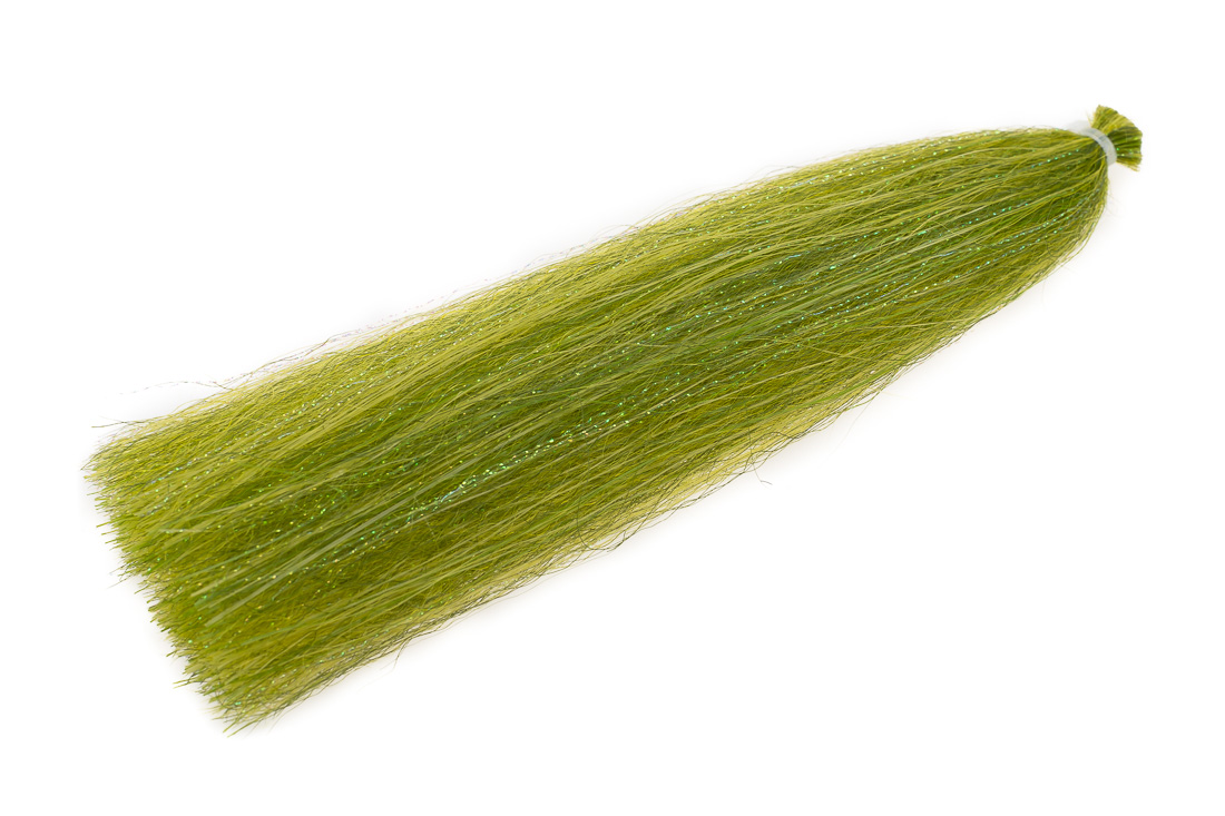 wild olive 