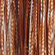 barred dark ginger