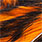 orange black